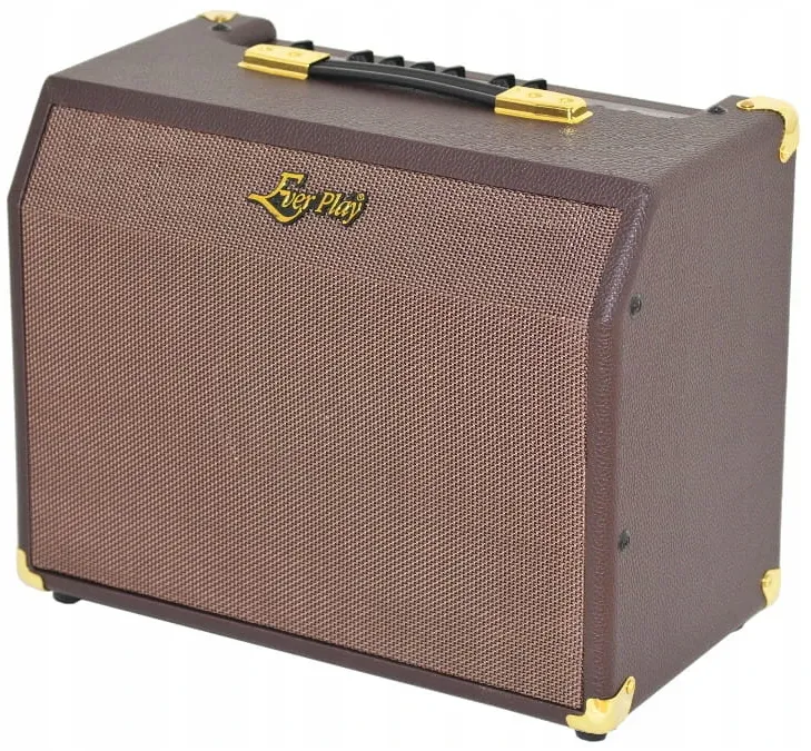 wzmacniacz do gitary akustycznej i efekty