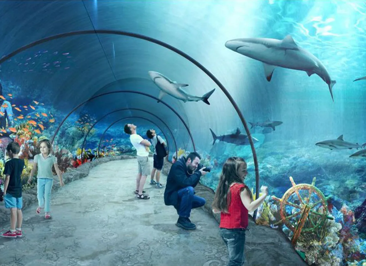 Zdjęcie Największe oceanarium w Polsce Łódź – Niezapomniane atrakcje i doświadczenia