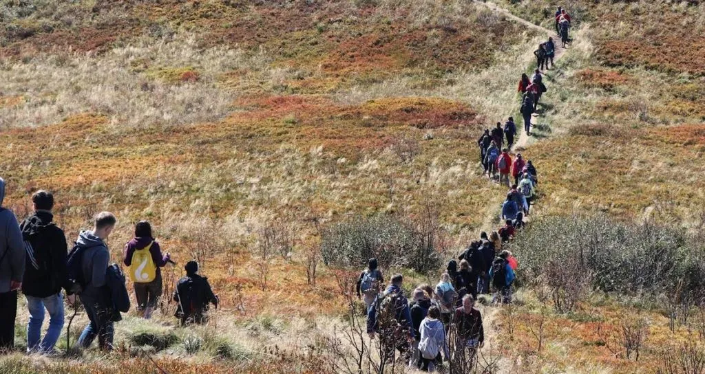 Zdjęcie Bieszczady czy jest bezpiecznie? Sprawdź, co mówią turyści