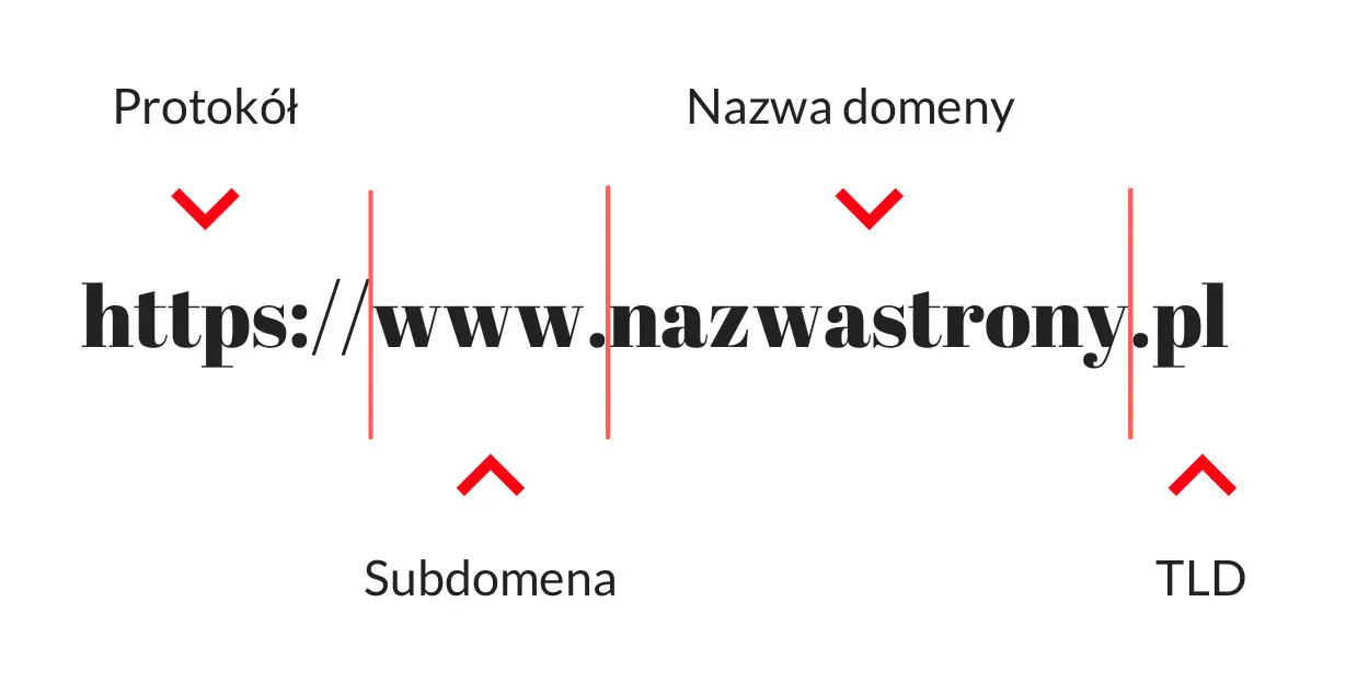 Zdjęcie Co to jest domeny? Zrozumienie ich roli w internecie i więcej