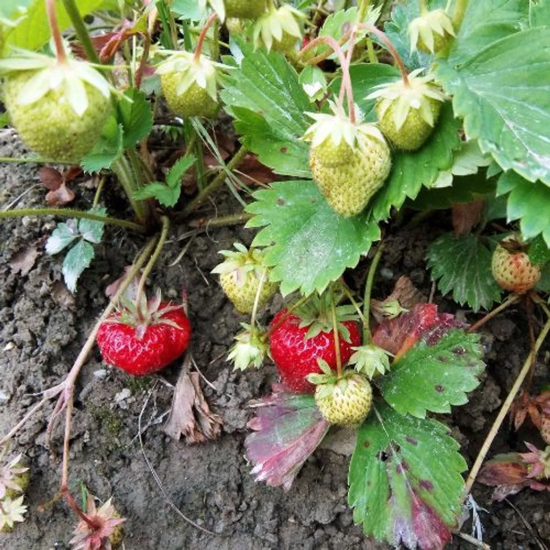 Zdjęcie Ile można zarobić na cateringu? Zaskakujące fakty o zarobkach w branży