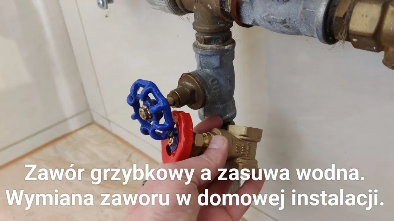 Zdjęcie Jak uszczelnić cieknący zawór grzybkowy i uniknąć kosztownych napraw
