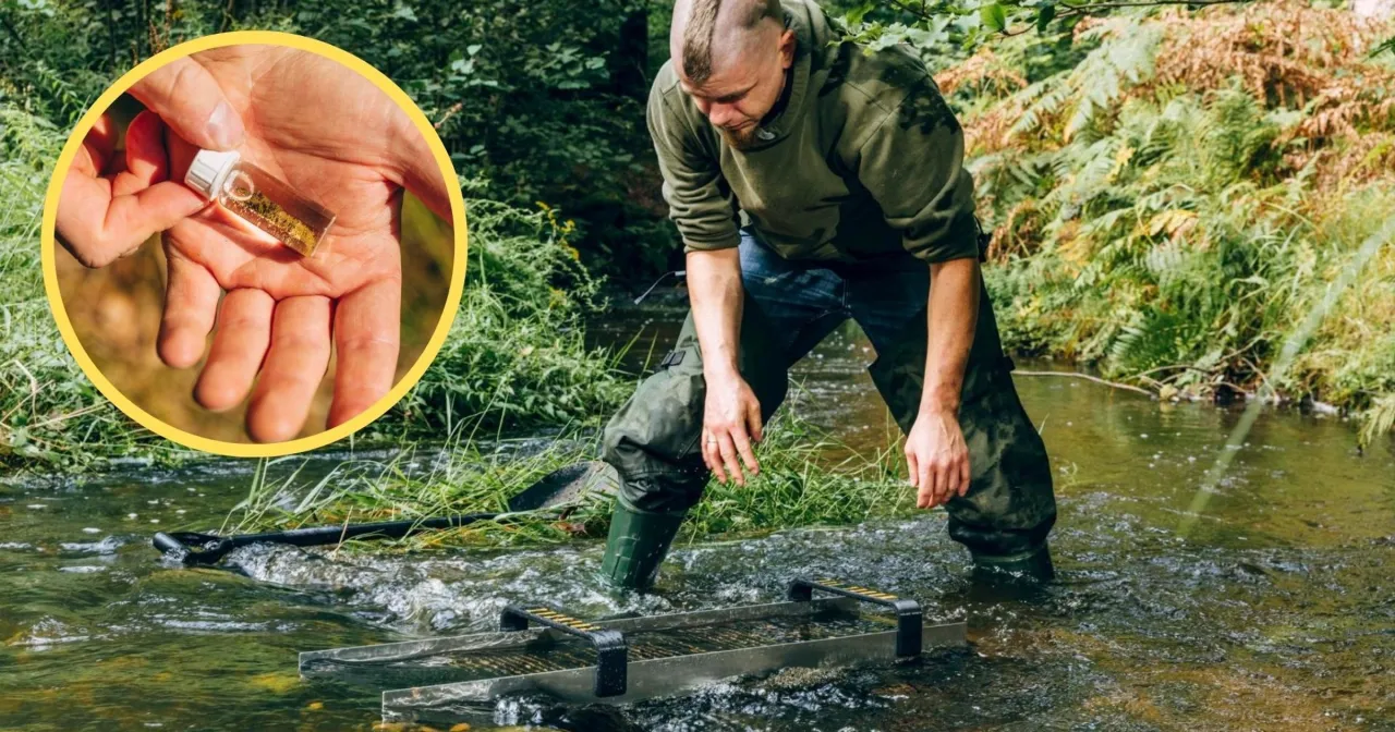Zdjęcie Jak znaleźć złoto w rzece? Polski poradnik dla początkujących