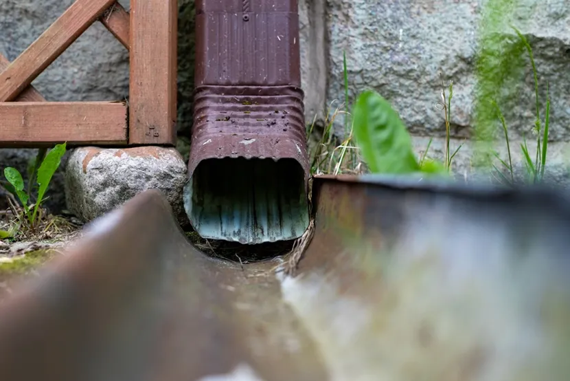 Zdjęcie Jak odprowadzić wodę z działki: skuteczne metody na problemy z wilgocią