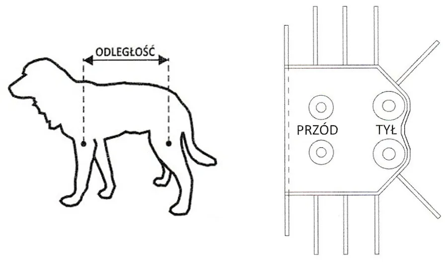 jak zmierzyć psa do ubranka schemat
