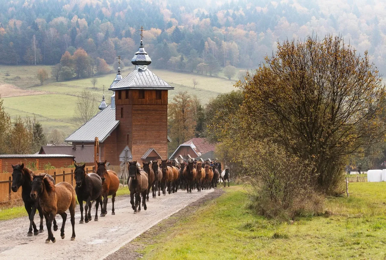 jazda konna hucuły beskid niski