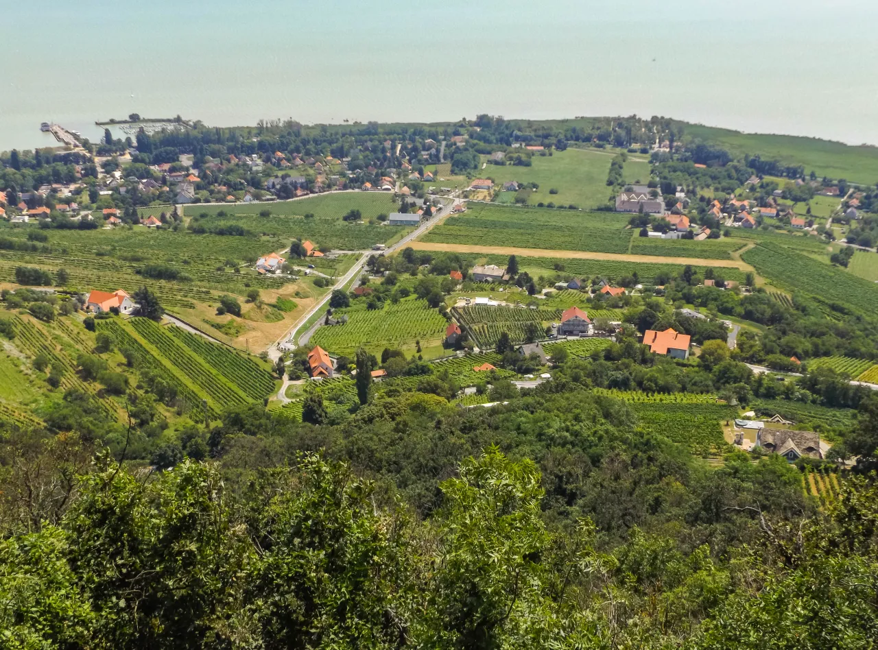 Winnice Badacsony Balaton