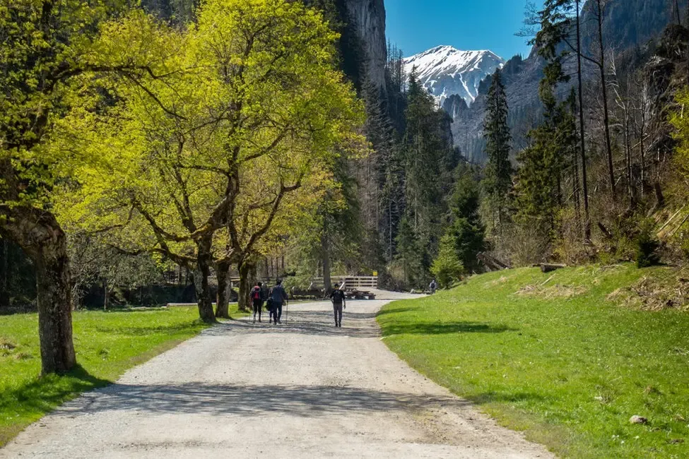 Dolina Kościeliska wiosną szlak łatwy