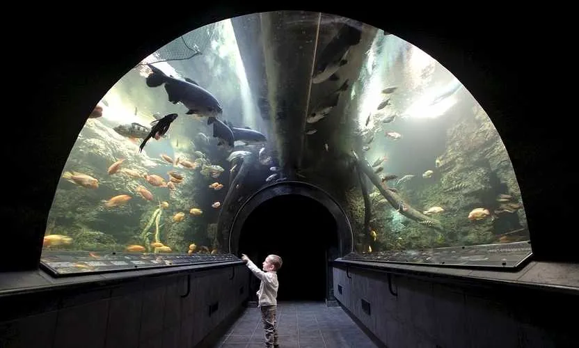 Hradec Kr&aacute;lov&eacute; Aquacentrum Obř&iacute; akv&aacute;rium