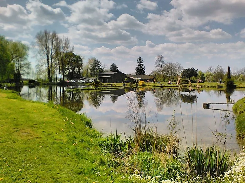 łowisko amurów trzcinowiska