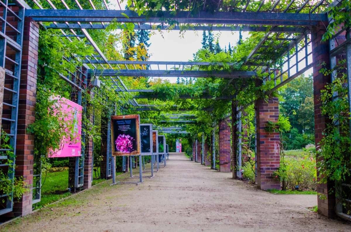 Ogr&oacute;d R&oacute;żany R&oacute;żanka Szczecin plac zabaw