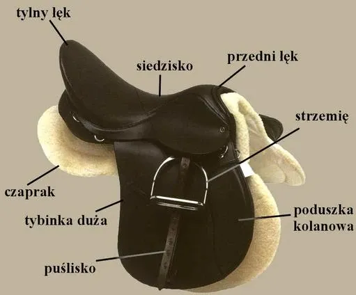 r&oacute;żne elementy siodła