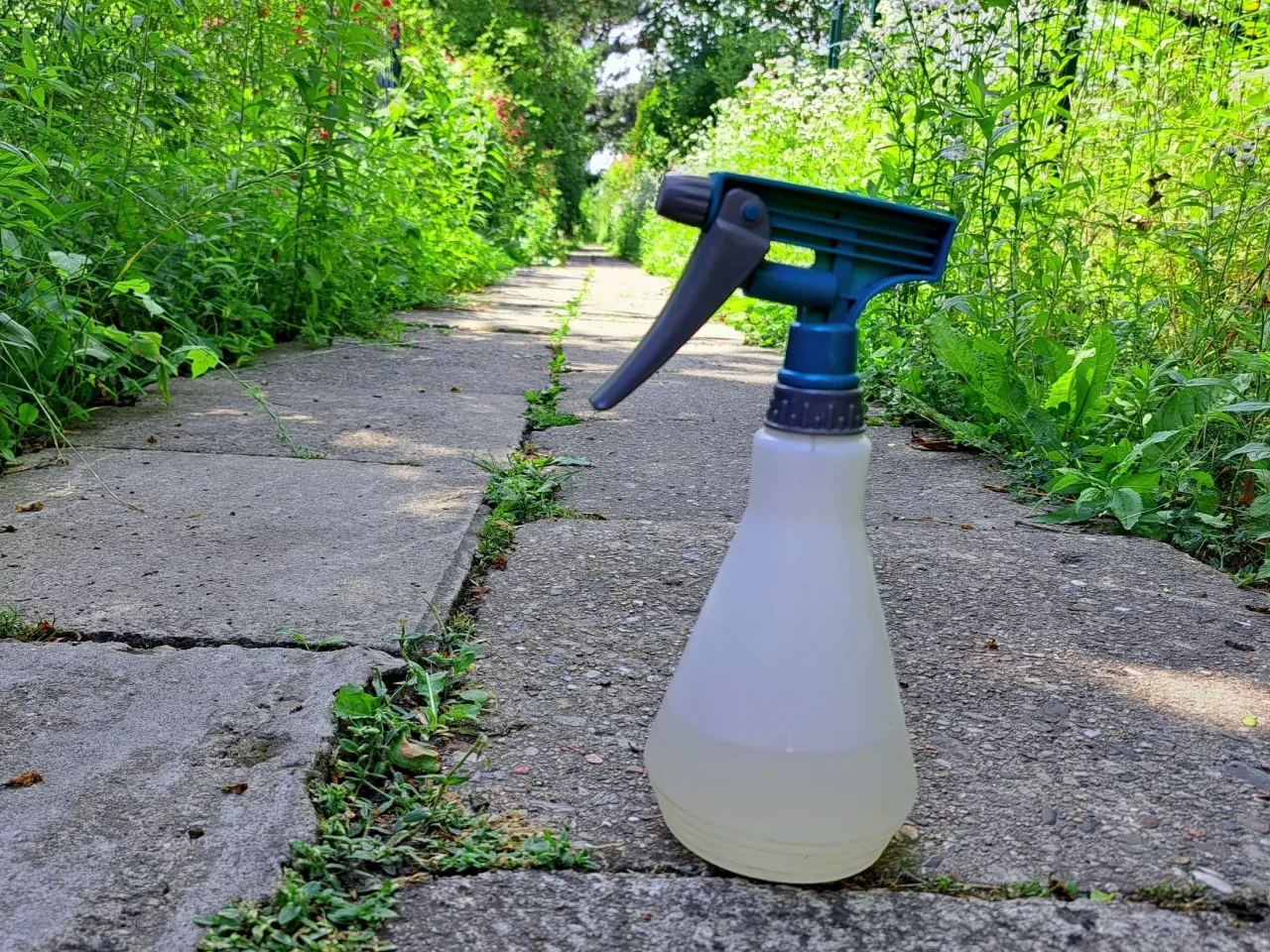 Uporczywe chwasty w ogrodzie