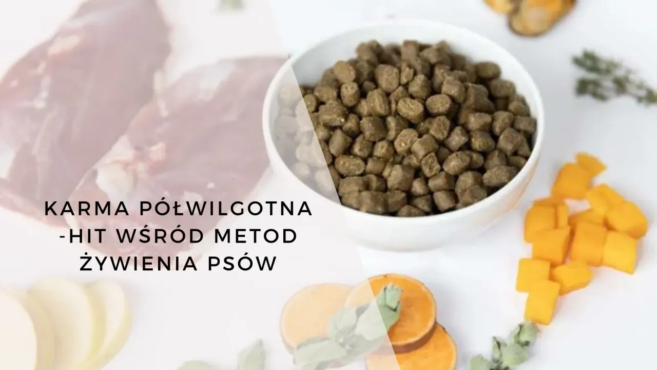 proces produkcji karmy dla psa ekstruzja tłoczenie na zimno