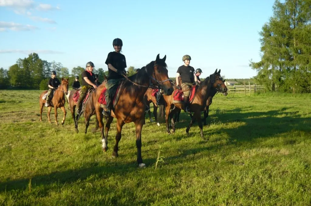 Stadnina koni łódzkie krajobrazy jazda konna