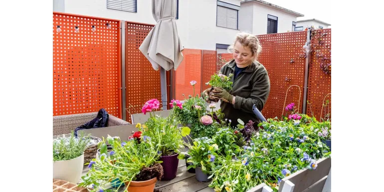 zabezpieczanie donicy z pnączem na zimę