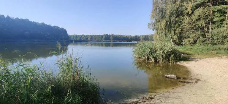 Zdjęcie Mszczonów atrakcje: Odkryj najlepsze miejsca na relaks i zabawę