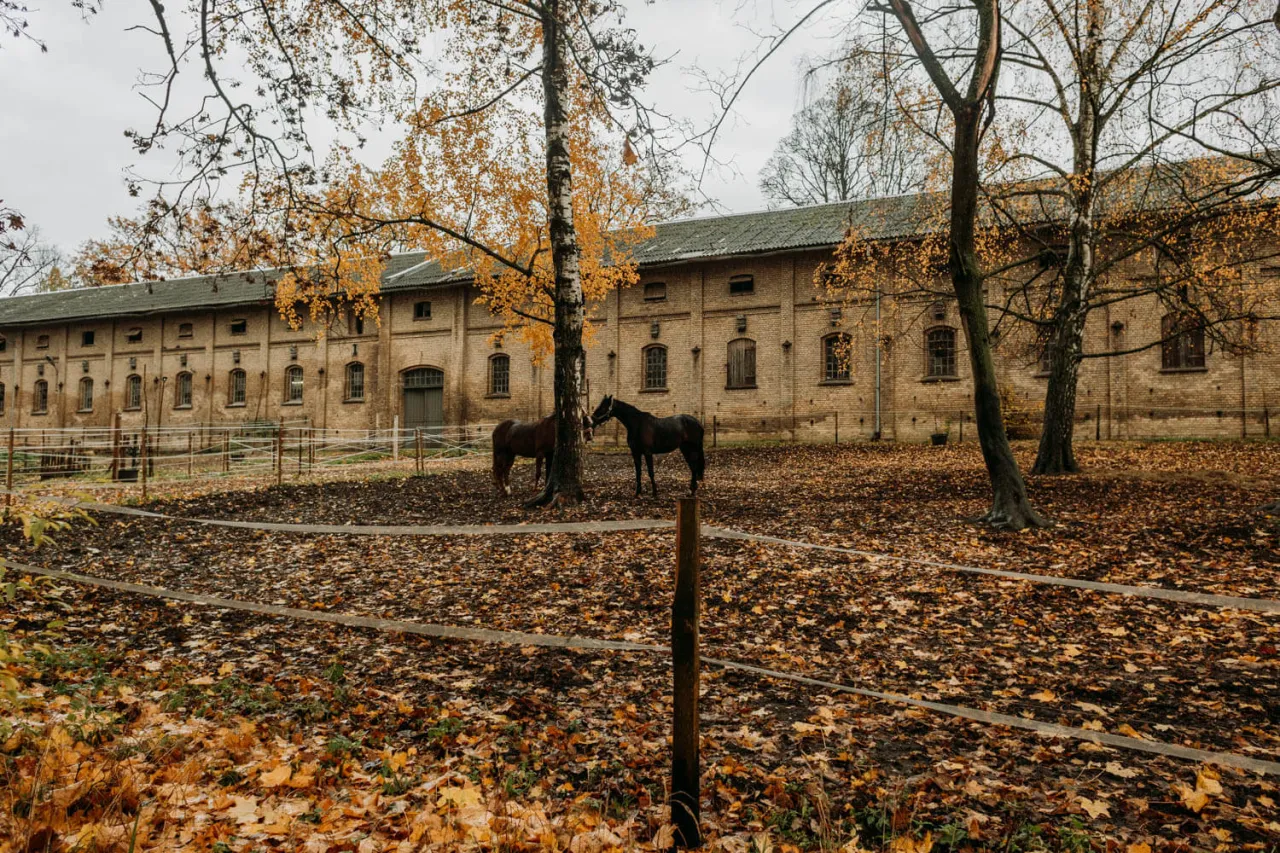 Stadnina koni Ełk Mazury
