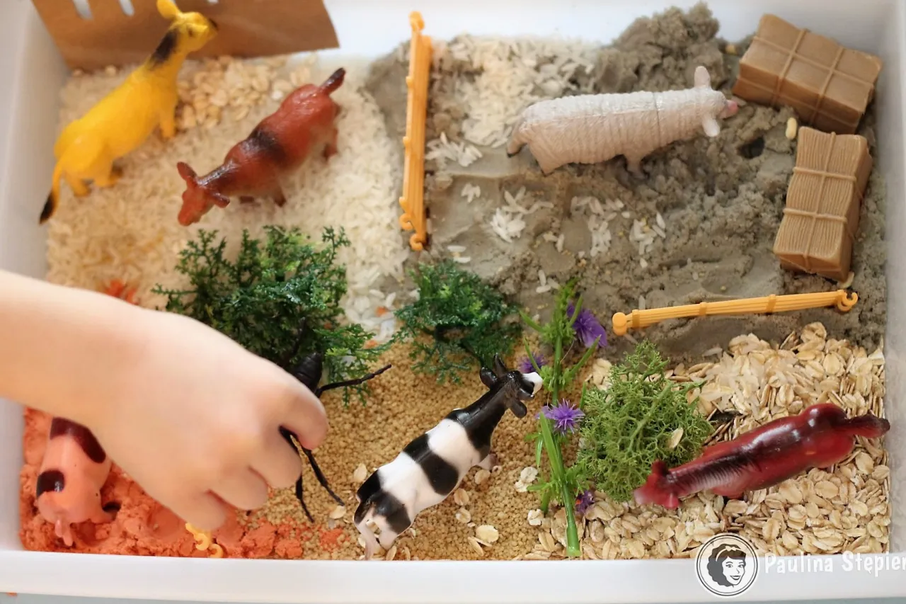 jadalna farma sensoryczna dla dzieci