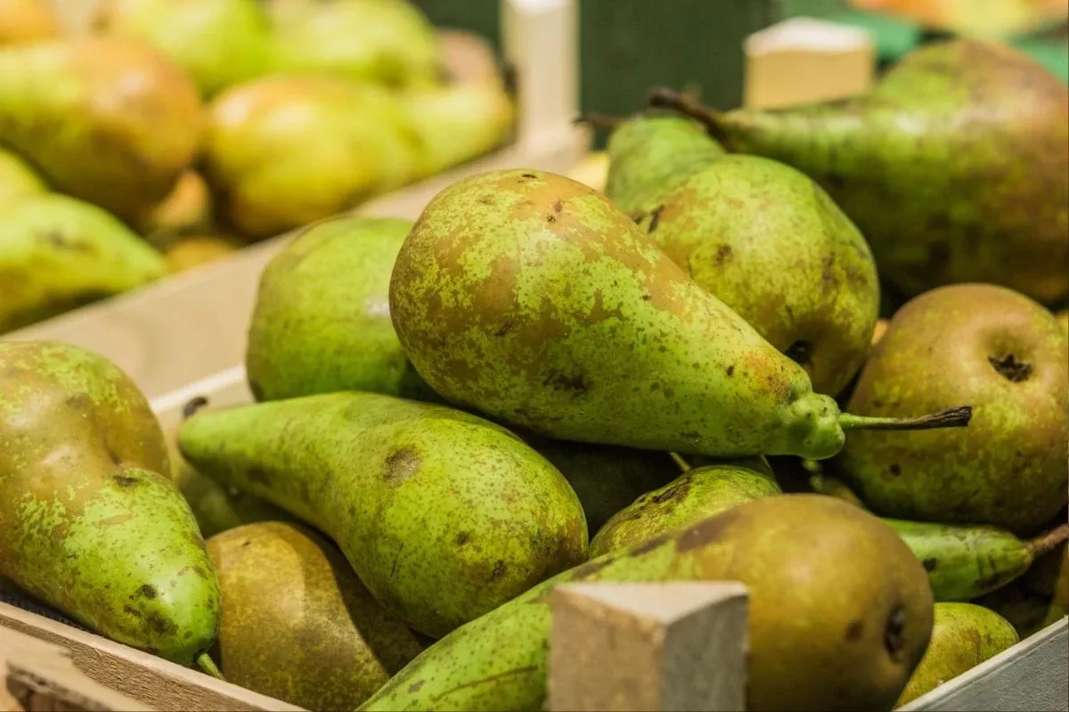 Gruszki w skrzynce, pełne witamin i błonnika, znane ze swoich właściwości leczniczych.