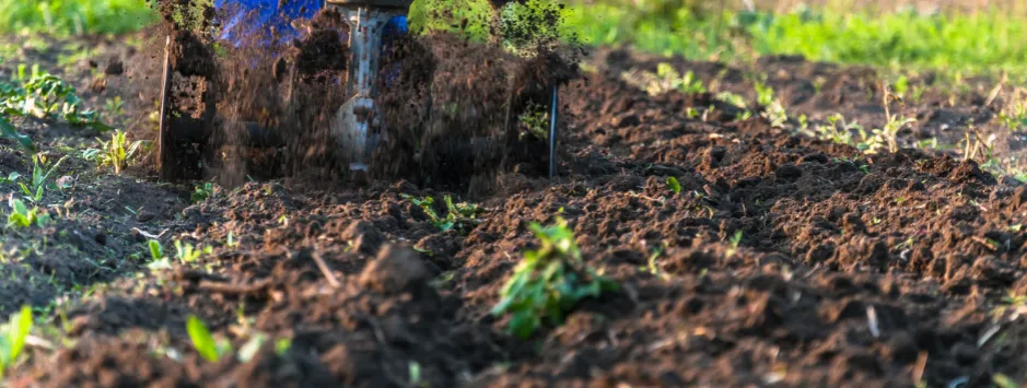 uszkodzony silnik glebogryzarki brak oleju