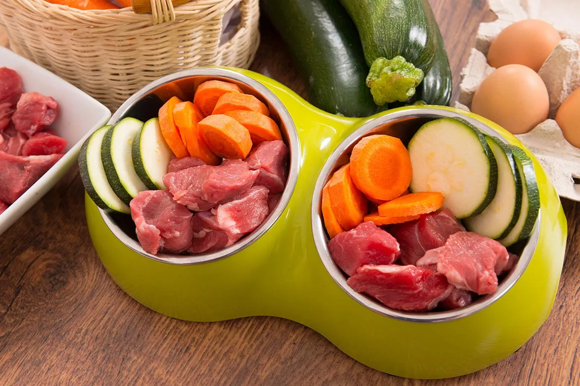 Zdjęcie Czy pies może jeść cukinię? Bezpieczne sposoby na zdrową dietę psa