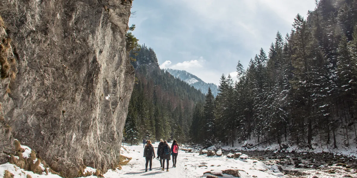 Dolina Kościeliska zimą