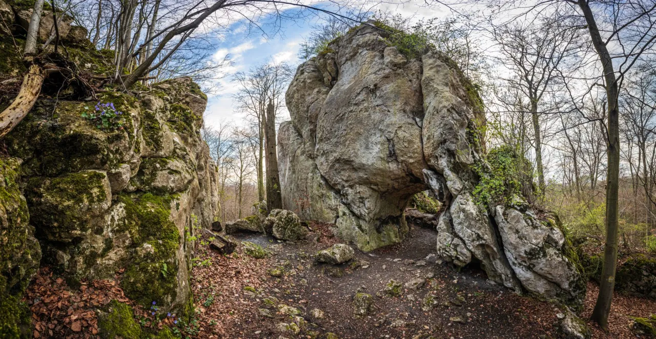 Rezerwat Sokole Góry panorama