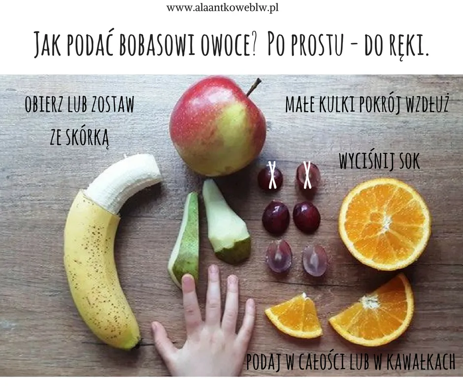 niemowle jedzące borówki blw