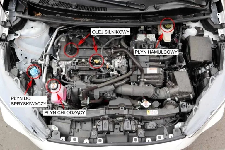 Komora silnika Toyota Yaris ogólny widok