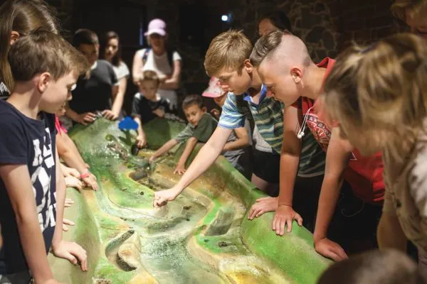 przykładowe zajęcia zagroda edukacyjna