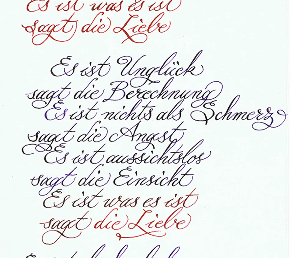 Erich Fried Gedicht Was es ist