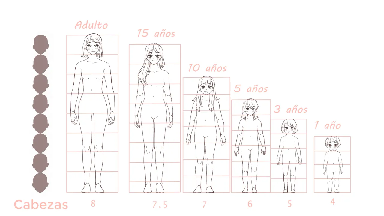 8-K&ouml;pfe-Methode weiblicher K&ouml;rper Proportionen Diagramm