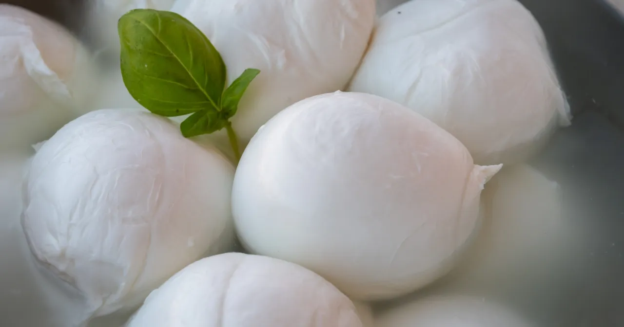 Kulki mozzarelli w wodzie, z listkiem bazylii. Czy mozzarella jest dobra na odchudzanie? To zależy od ilości i sposobu przygotowania.