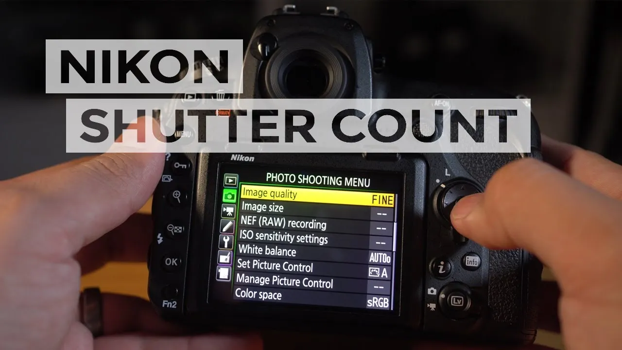 Nikon Shutter Count Viewer screenshot