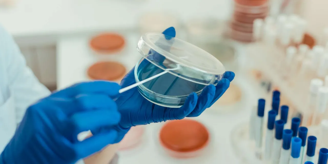 Rękawiczki laboratoryjne chronią dłonie podczas pracy z prob&oacute;wką w laboratorium chemicznym, gdzie służy ona do przechowywania i analizy pr&oacute;bek.