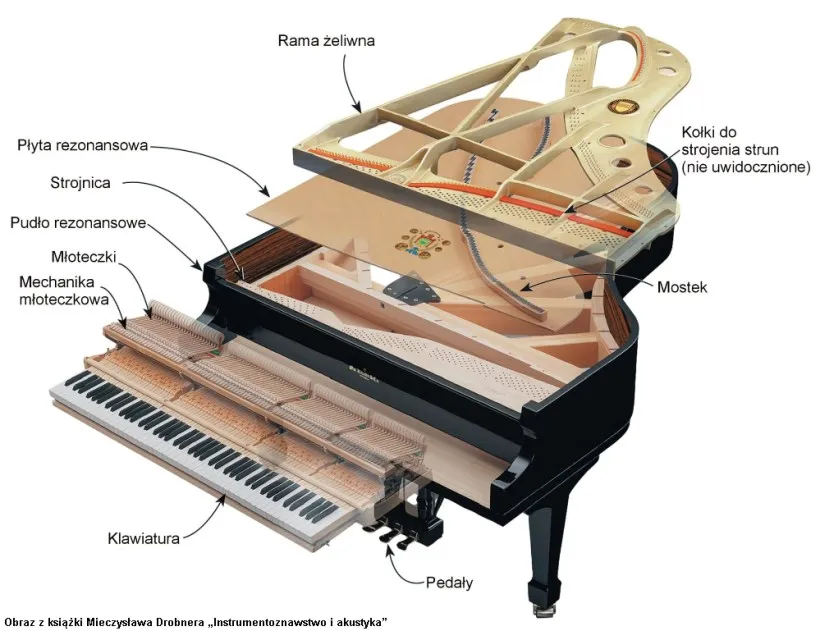 mechanizm fortepianu i pianina schemat
