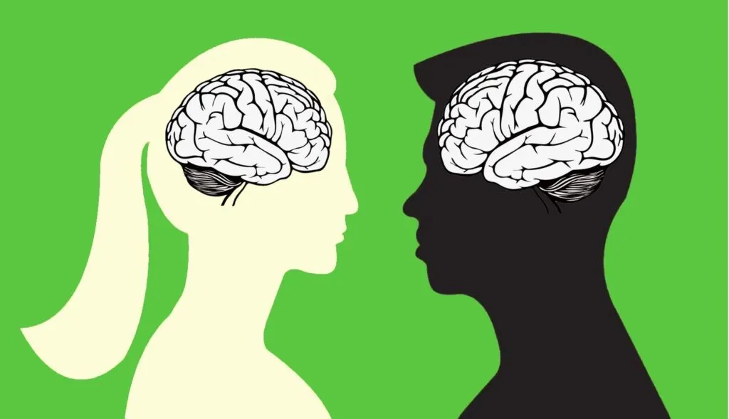 schemat różnic w mózgu kobiety i mężczyzny