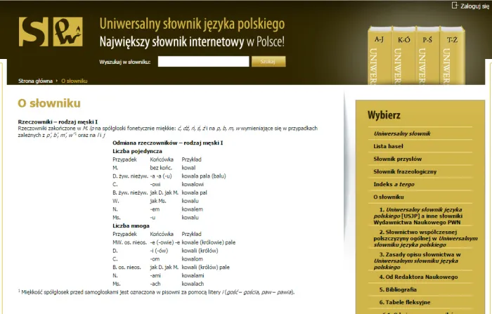 interfejs słownika języka polskiego online PWN na ekranie komputera