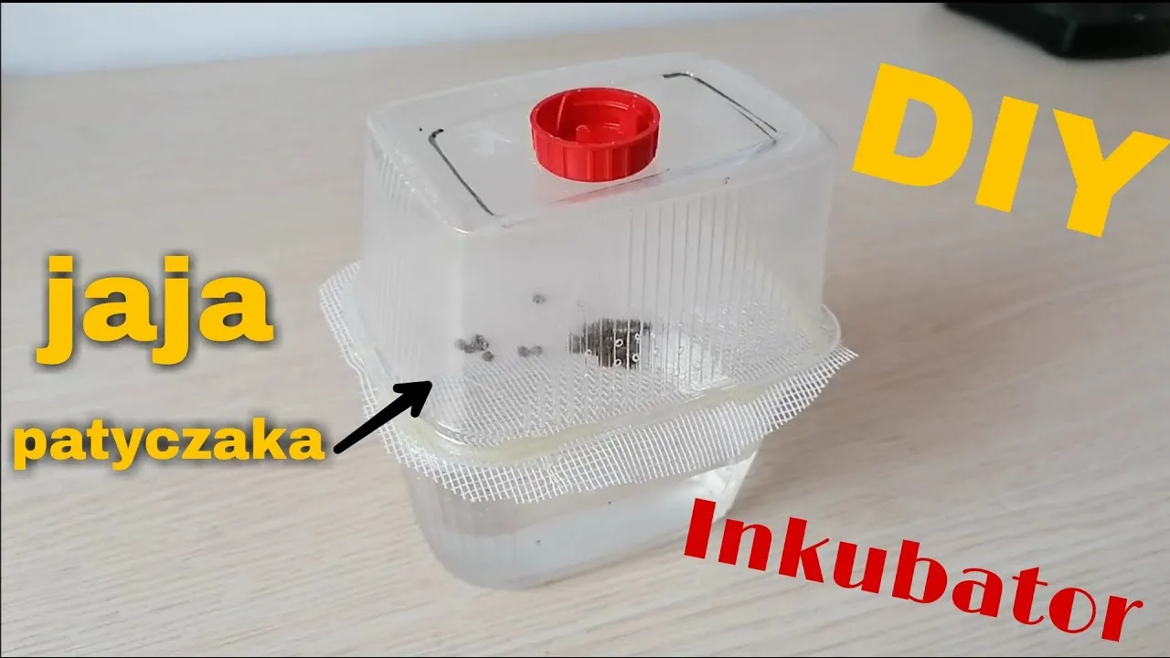 DIY inkubator z butelki - materiały