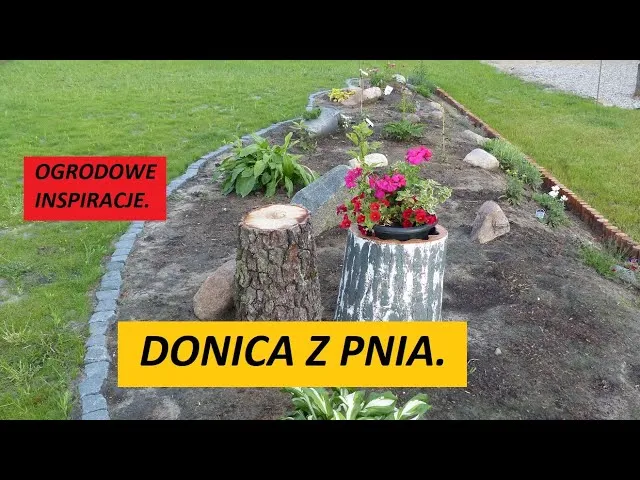 piękny kwietnik z pnia drzewa w ogrodzie inspiracje