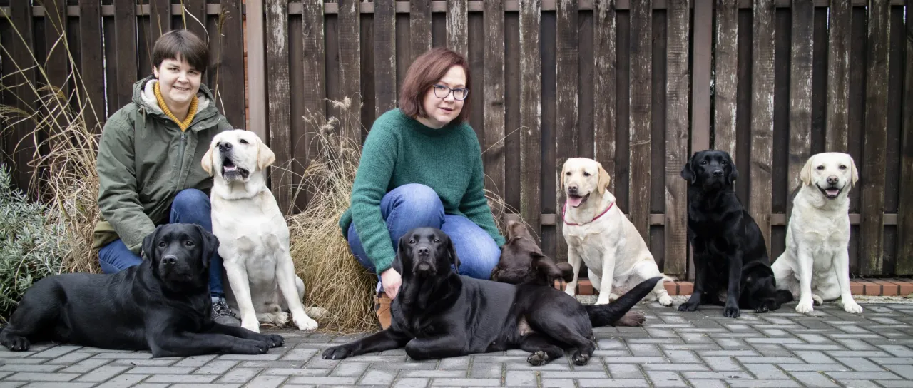 szczeniak labrador z właścicielem na spacerze