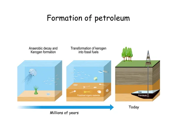 Schemat powstawania ropy naftowej z planktonu i osadów
