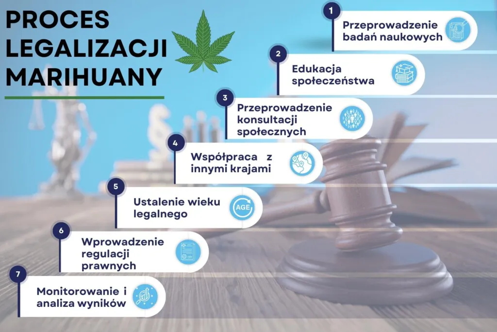 kary za posiadanie marihuany infografika