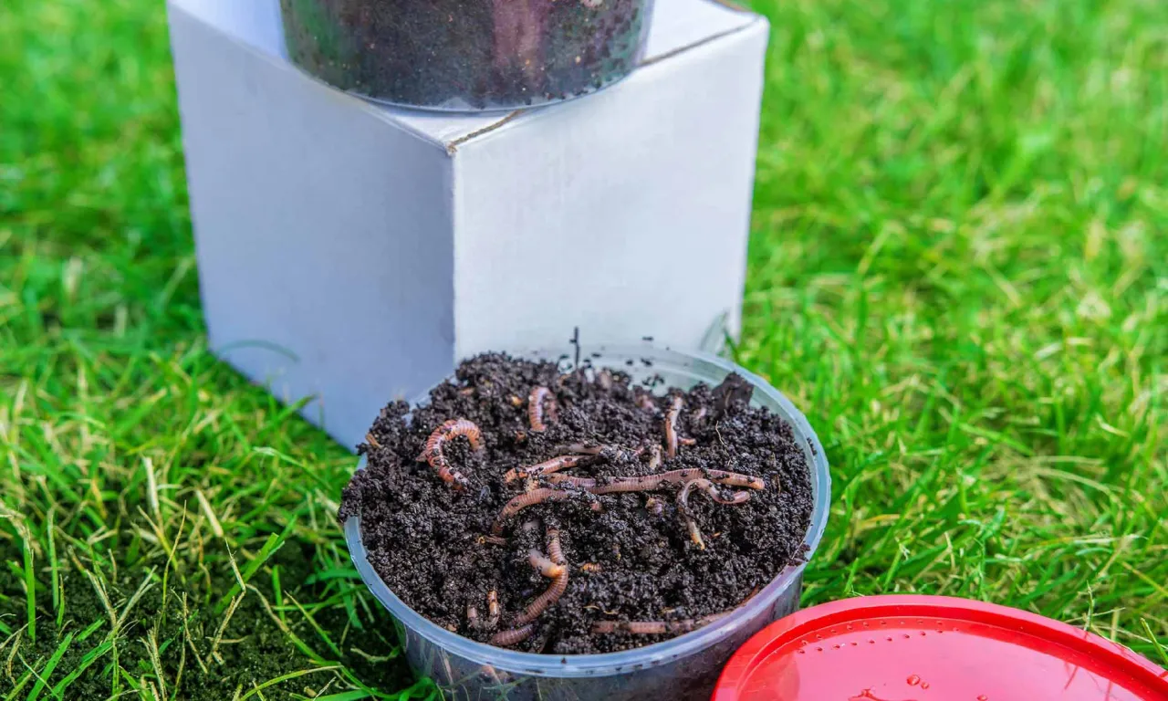 mikroorganizmy w glebie pod mikroskopem