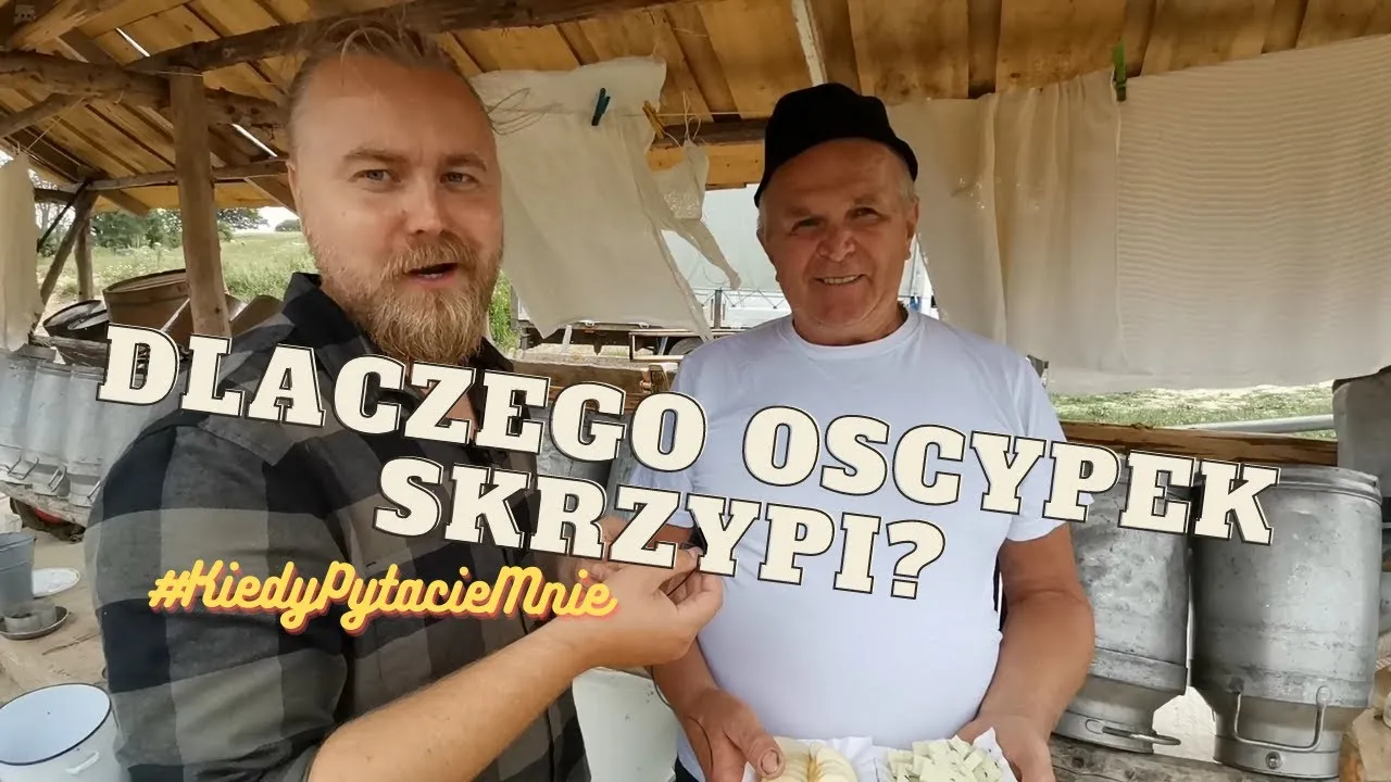 Zdjęcie Czy prawdziwy oscypek skrzypi? Odkryj prawdę o autentyczności