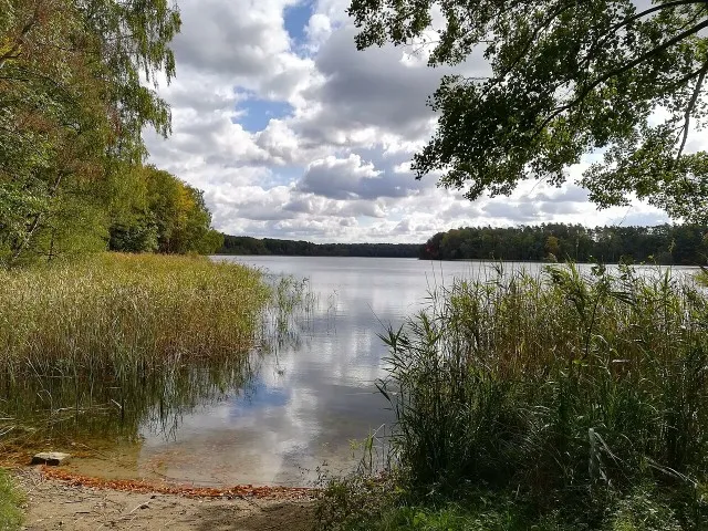 Malownicze jezioro zachodniopomorskie z lasem
