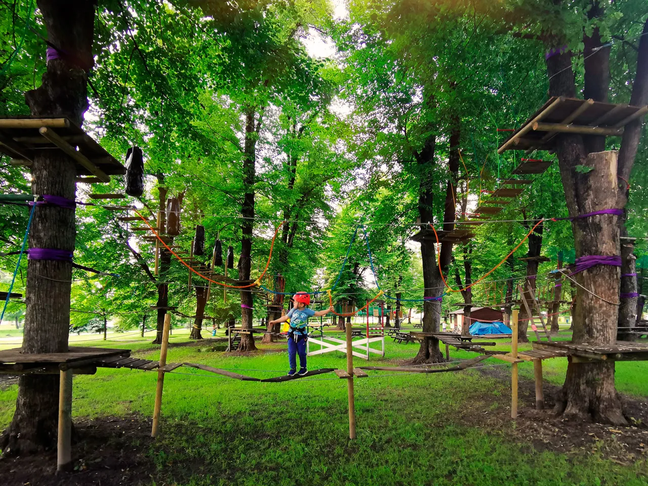 Cennik park linowy Wrocław