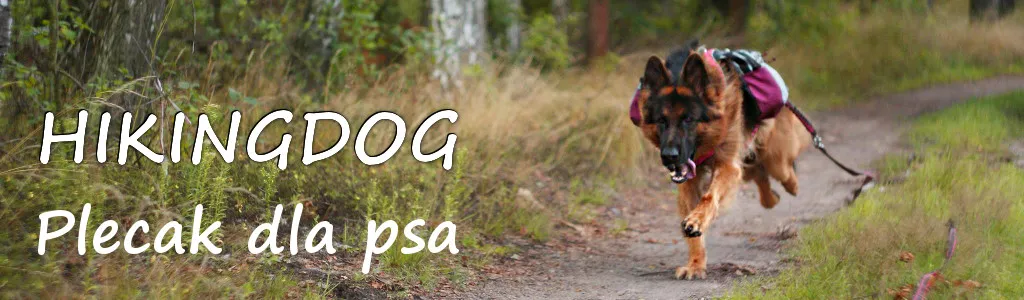 Pies z plecakiem dla psa w górach