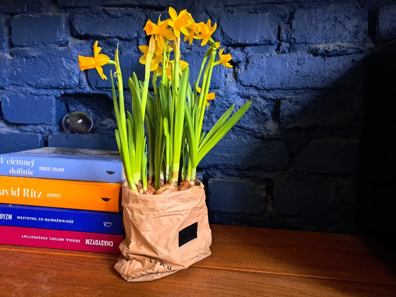 żonkile w doniczce na parapecie